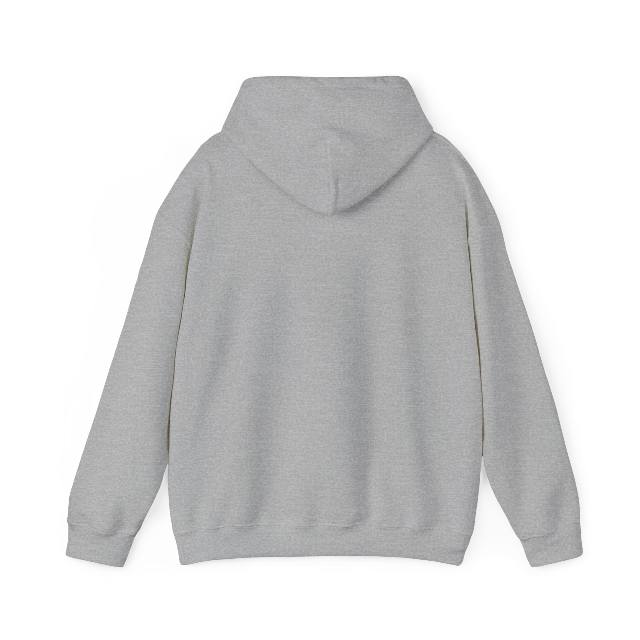 IDC Logo Hoodie